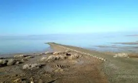 بازگشت حیات به تالاب کجی نمکزار نهبندان/ ویدئو