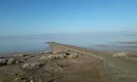 بازگشت حیات به تالاب کجی نمکزار نهبندان/ ویدئو