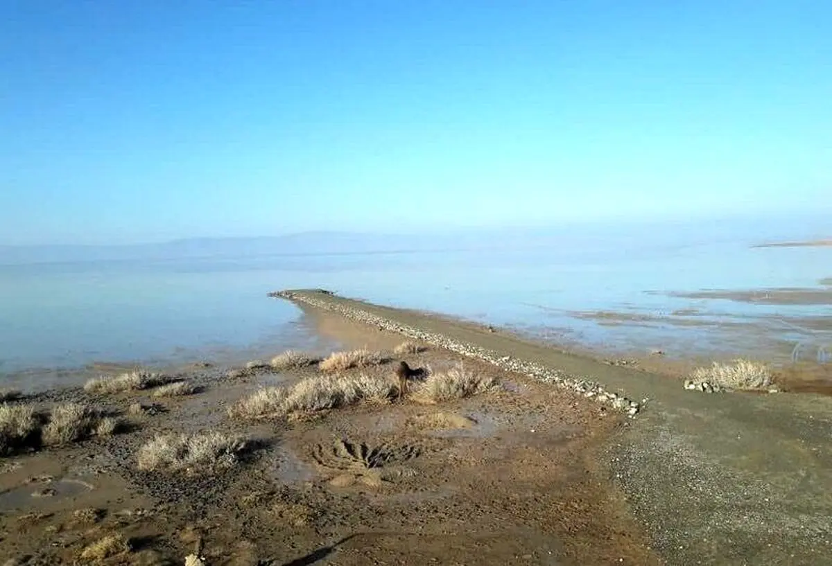 بازگشت حیات به تالاب کجی نمکزار نهبندان/ ویدئو