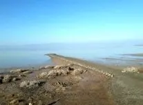 بازگشت حیات به تالاب کجی نمکزار نهبندان/ ویدئو