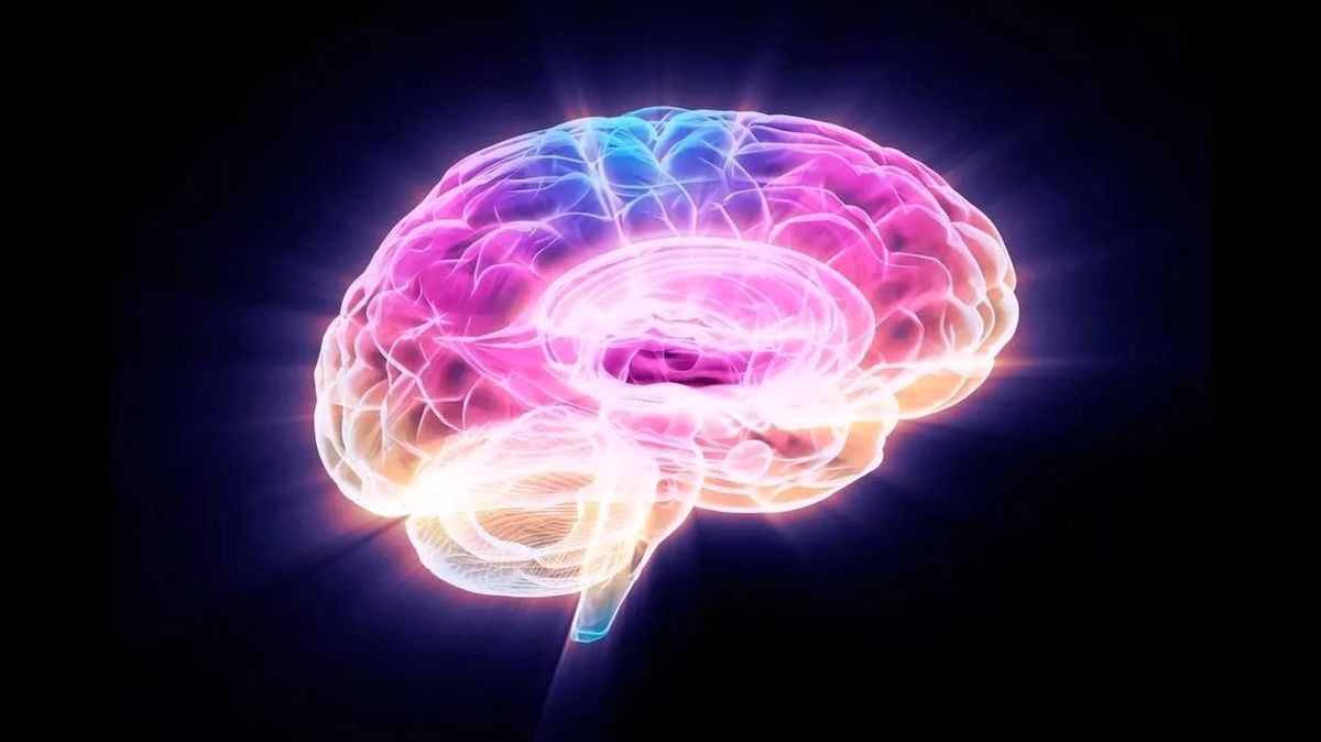 محققان با خاموشکردن یک پروتئین، پیری مغز را در موشها معکوس کردند
