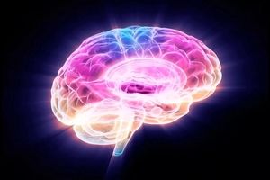 محققان با خاموش‌کردن یک پروتئین، پیری مغز را در موش‌ها معکوس کردند