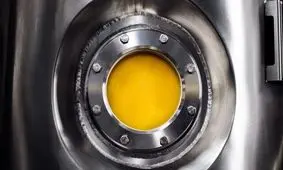 ساخت پروتئین با استفاده از هوا و انرژی خورشید!