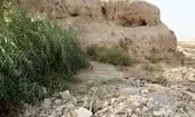 گنجینه‌ای هفت هزار ساله در میان زباله‌ها
