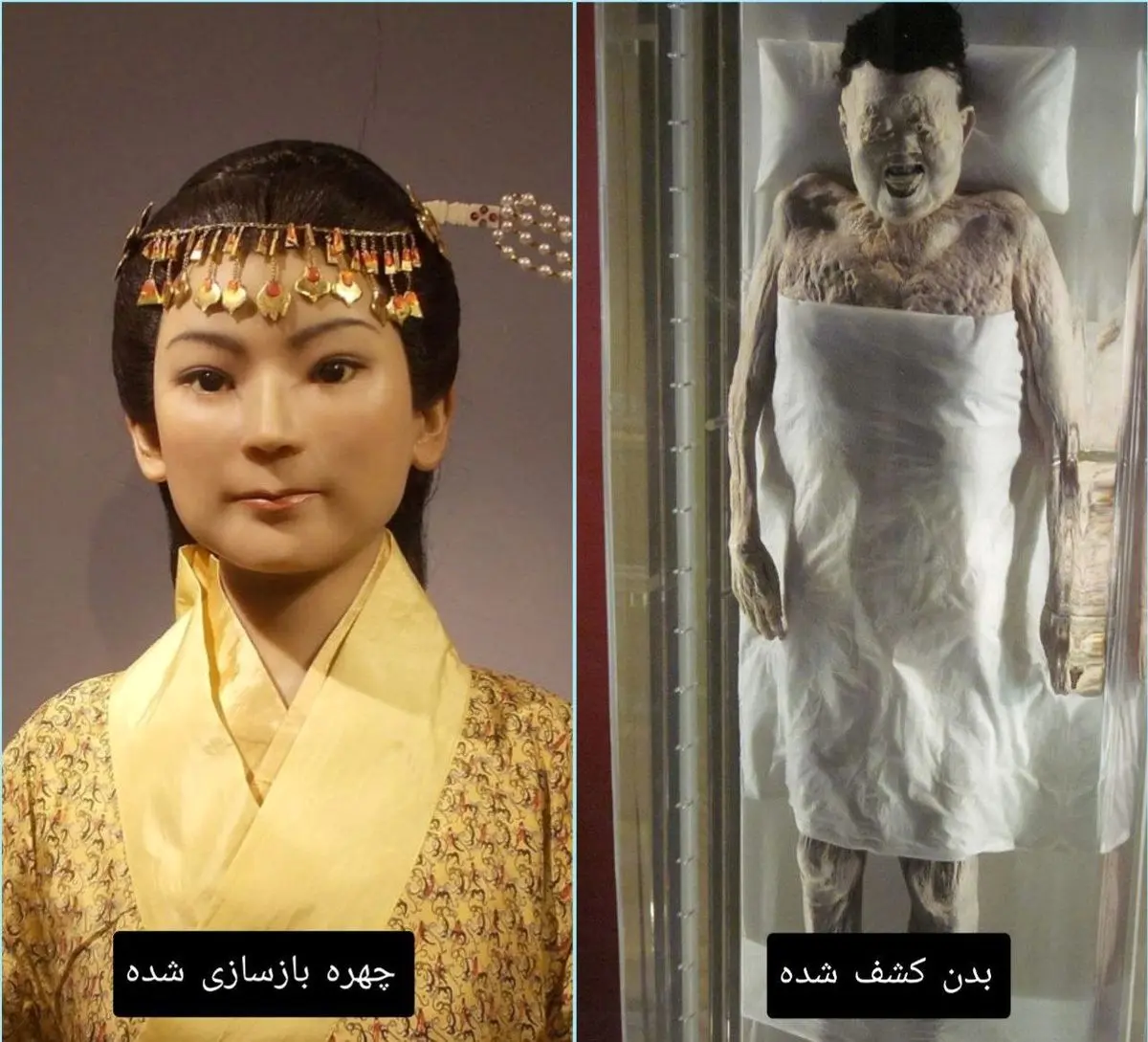 اگر شما را ۲۱۹۳ سال بعد از قبر بیرون بیاورند، چه حسی خواهید داشت؟