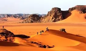 روایت جدید از فوت «مصطفی فرشی» متخصص اطفال؛ مرگ یا قتل؟

