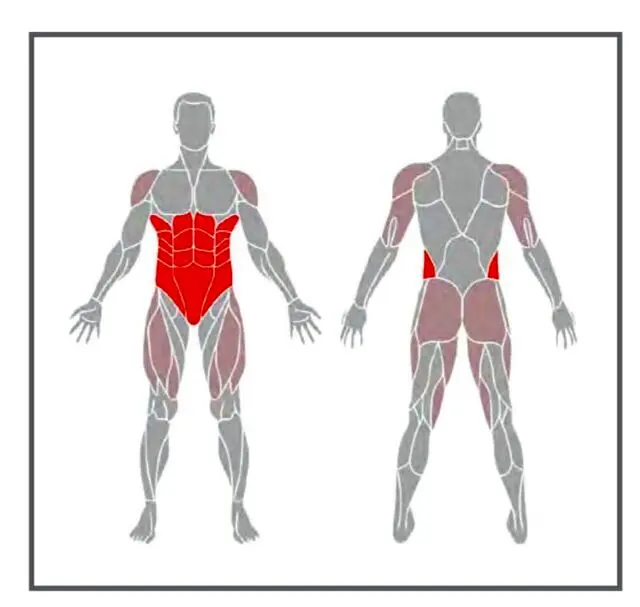 ورزش در خانه؛ تمرین فوق‌العاده ۵ دقیقه‌ای پلانک برای چربی سوزی + عکس