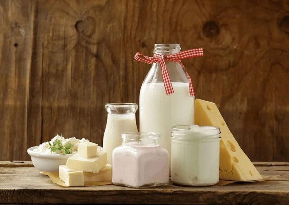 تشدید خروج شیر خام از کشور/ کاهش ۱۵ تا ۲۰ درصدی مصرف لبنیات