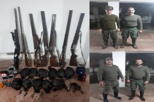کشف و ضبط ۴۵ قبضه سلاح شکاری در مازندران