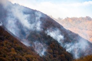 آتش‌سوزی وسیع در جنگل‌های بهشهر و الندان ‌ساری/ مردم به کمک بروند/ ویدئو

