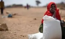 هشدار بانک جهانی نسبت به بحران امنیت غذایی در یمن

