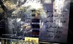 از سنا و نیما تا سهمیه‌ای و فردایی؛ دلار هر جا قیمتی دارد
