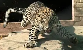 عکس های جالب و دیدنی