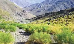 تلخاب؛ چشمه عجیبی نزدیک تهران که با آب گازدارش دوغ درست می‌کنند/ تصاویر 