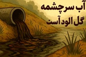 ضرب المثل آب از سرچشمه گل آلود است از کجا آمده است؟