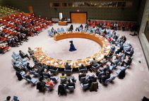 ۶ پیشنهاد وزیر امور خارجه کشورمان در شورای امنیت سازمان ملل/ ویدئو