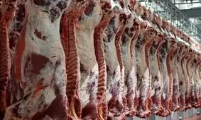 گوشت ۸۰۰ هزار تومانی، نتیجه حذف ارز ترجیحی