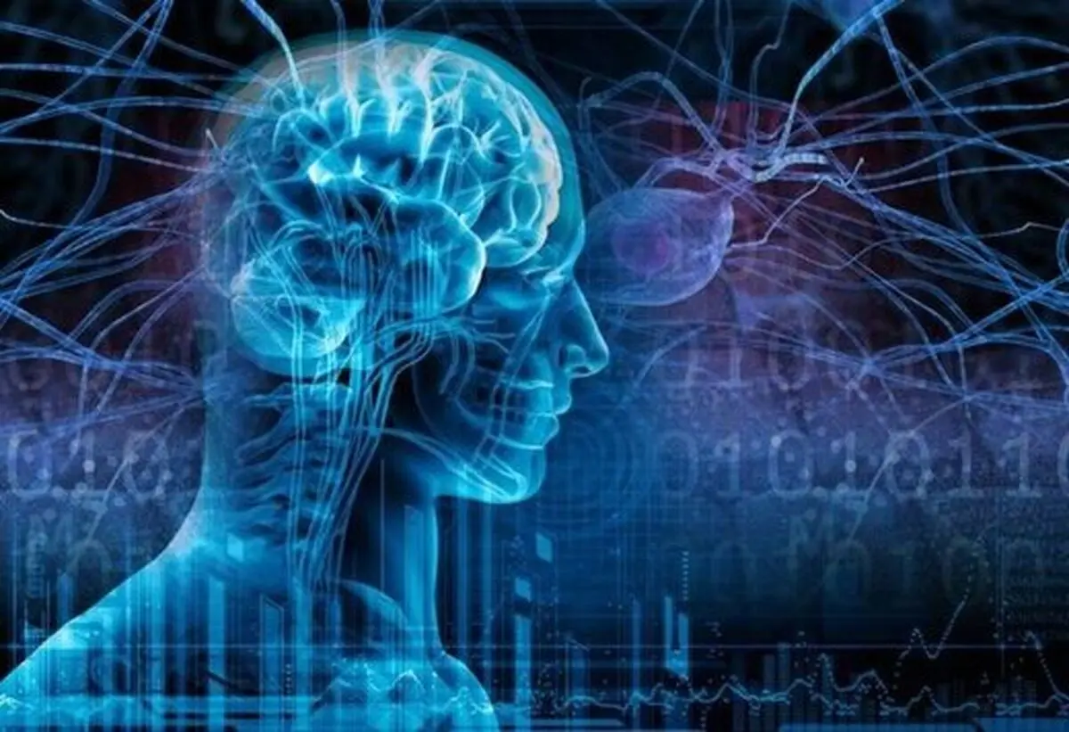 راهی برای افزایش ۳ برابری قدرت یادگیری مغز


