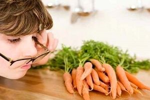 این مواد غذایی به سلامت چشم ها کمک می کنند
