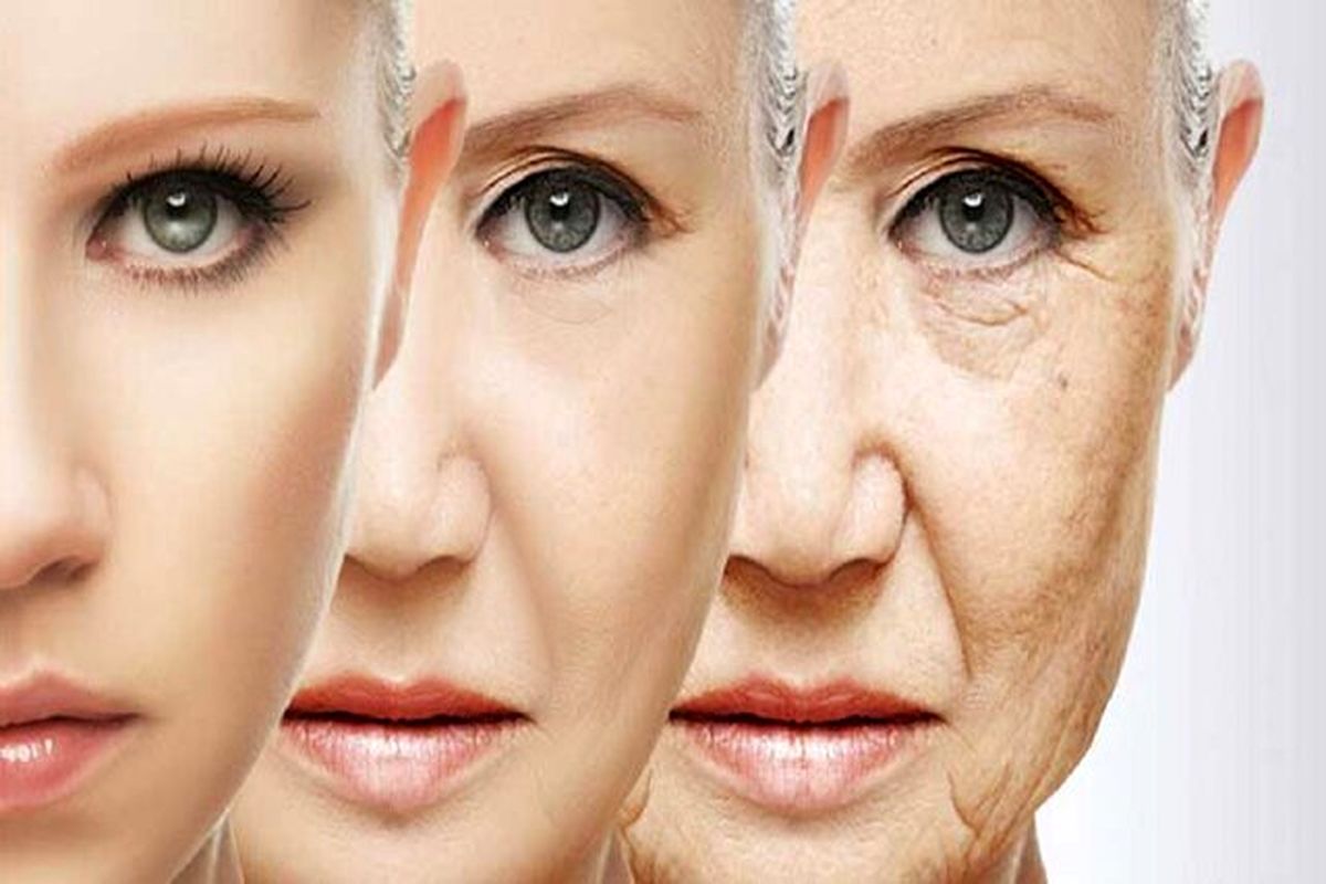 یک متخصص: اولین داروهای ضد پیری تا ۵ سال آینده به بازار می‌آیند