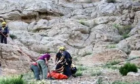 مرگ تلخ مرد مهابادی در صحنه جمع آوری گیاهان بهاری/ ویدئو