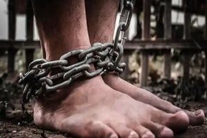 از ظهور تا غروب برده داری در ایران/ اینفوگرافی