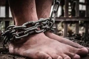 از ظهور تا غروب برده داری در ایران/ اینفوگرافی