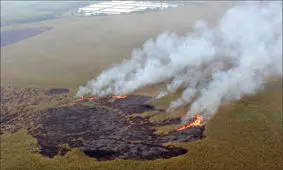 محیط زیست: آتش هورالعظیم به ایران نرسیده / آماده اطفاء حریق در صورت سرایت آتش هستیم