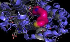 ترکیبی امیدبخش برای کاهش حرکات غیر ارادی مبتلایان به پارکینسون