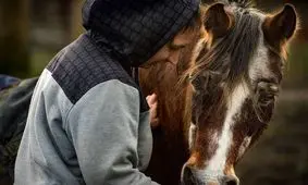 آیا درک زبان حیوانات امکان دارد؟