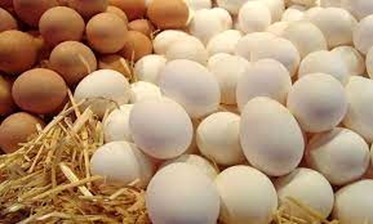 تخم‌مرغ قهوه‌ای مقوی‌تر است یا تخم‌مرغ سفید؟