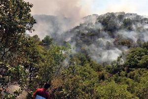 جدیدترین جزئیات از آتش‌سوزی‌ ‌۳۴ ساعته جنگل‌های مریوان/ هنوز آتش ‌مهار نشده است