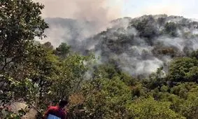 جدیدترین جزئیات از آتش‌سوزی‌ ‌۳۴ ساعته جنگل‌های مریوان/ هنوز آتش ‌مهار نشده است