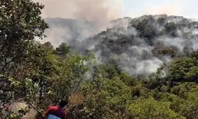 جدیدترین جزئیات از آتش‌سوزی‌ ‌۳۴ ساعته جنگل‌های مریوان/ هنوز آتش ‌مهار نشده است