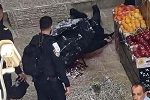  تیراندازی در ورودی مسجدالاقصی/ ۵ صهیونیست کشته و زخمی شدند