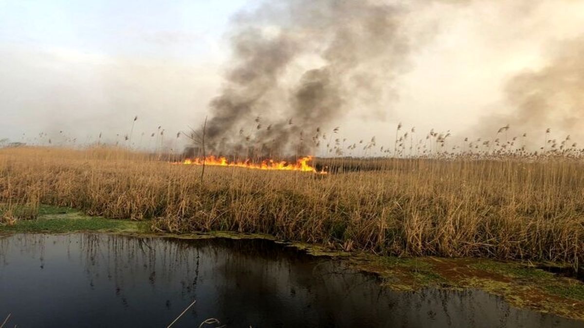 هویزه به شدت تحتتاثیر دود آتشسوزی هورالعظیم قرار دارد/ علت اصلی این وضعیت، تخصیص نیافتن حقآبه هورالعظیم از سوی عراق و ادامه خودسوزی تالاب است