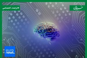 ساخت کامپیوترهای زیستی با مغز انسان!