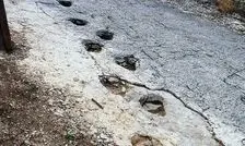 استراحت دایناسورها روی کوه