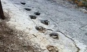 استراحت دایناسورها روی کوه