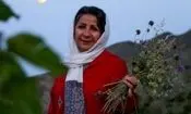 هشدار شاعر و نویسنده افغانستانی تبار ساکن مشهد به ایرانی ها برای عبرت از سرگذشت افغانستان؛ مراقب «خانه‌جنگی» باشید/ ویدئو