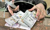 واکنش صرافی ها و بانک ها به تصمیم دلاری جدید دولت