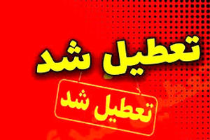 اعلام تعطیلی مدارس وقتی فضای مجازی نبود/ ویدئو