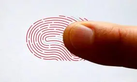 آیا اثر انگشت انسان واقعا منحصر به‌ فرد است؟

