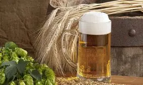 یک باور غلط درباره مصرف ماءالشعیر؛ بیماران کلیوی نباید بنوشید