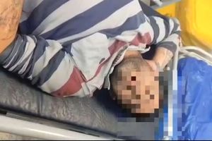 پلیس: یکی از اراذل و اوباش سابقه‌دار ملارد دستگیر شد