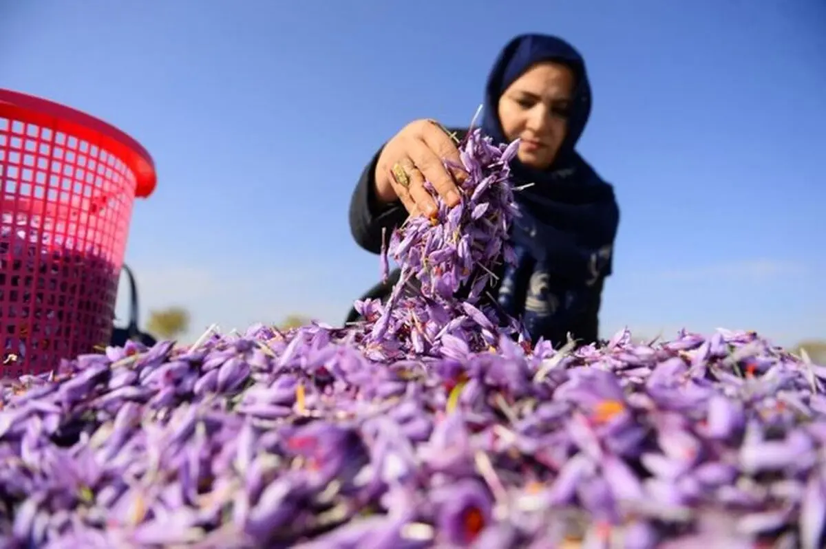 تسهیلات مشاغل خانگی چقدر شد؟