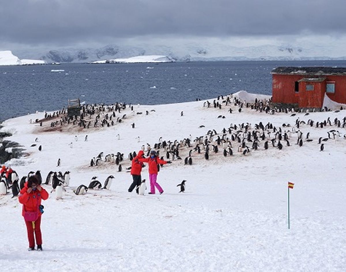 تجربه سفری هیجان انگیز با تور قطب جنوب