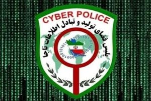 مزاحم اینترنتی در شهرکرد دستگیر شد