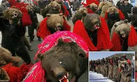 رقص سنتی خرس‌ها، رویدادی به قدمت قرون وسطی/ ویدئو