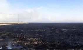 آتش سوزی در مزارع شیبکوه فسا